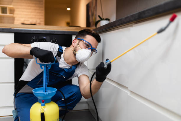 Best Residential Pest Control  in Johnstown, PA