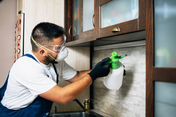 Best Pest Control Near Me in Johnstown, PA