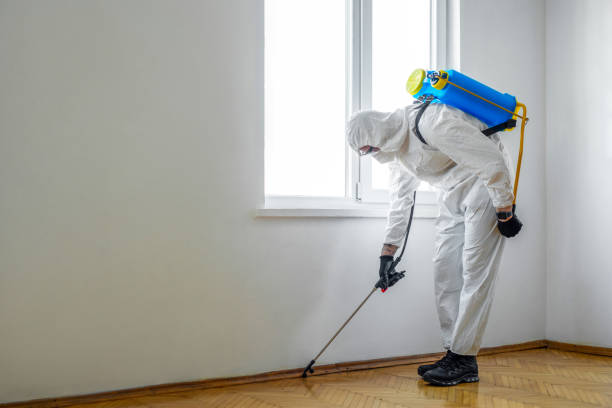 Pest Control for Restaurants in Johnstown, PA