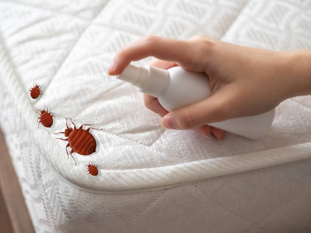 Best Pest Removal Services  in Johnstown, PA