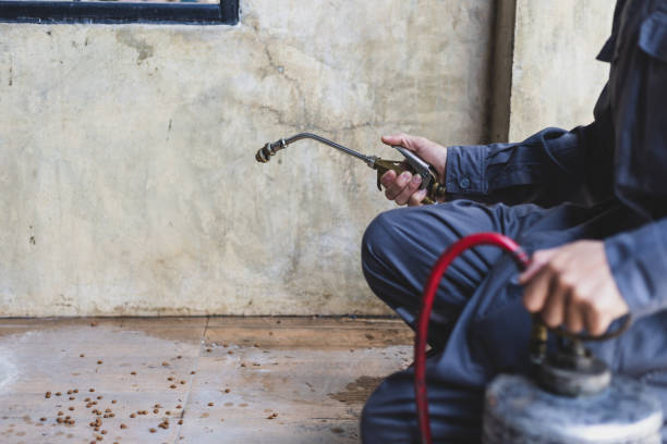 Best Affordable Pest Control Services  in Johnstown, PA