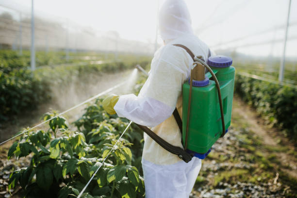 Best Affordable Pest Control Services  in Johnstown, PA